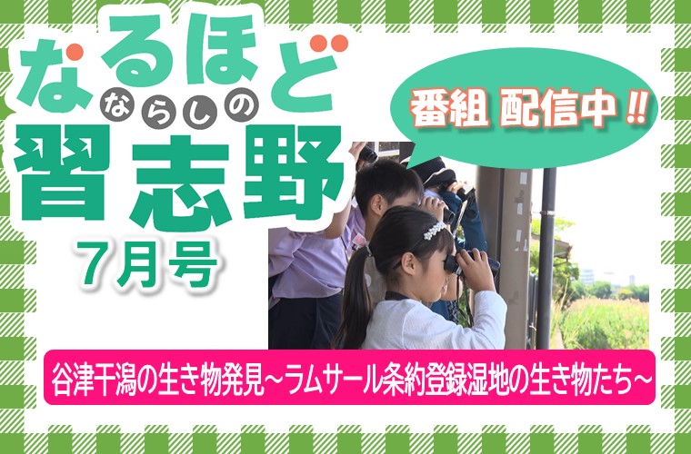 なるほど習志野7月号