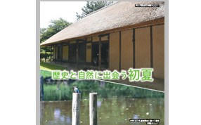 広報習志野6月15日号