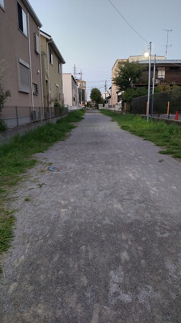 夕方の菊田遊歩道の写真