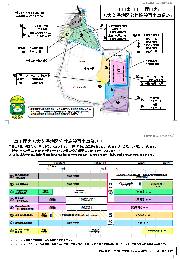 工事工程表