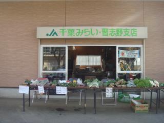 JA千葉みらい・習志野支店の屋外に設置された長机の上に野菜などの商品が並んでいる写真