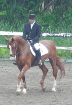 乗馬服を着た真殿さんが市原市の長谷川ライディングフォームでシラユキ号に騎乗している写真