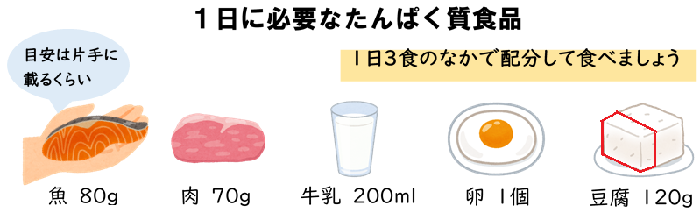 1日に必要なたんぱく質食品、一日3食の中で配分して食べましょう、目安は片手にのるくらい、魚80グラム、肉70グラム、牛乳200ミリリットル、卵1個、豆腐120グラム（魚の切り身、肉、牛乳、目玉焼き、豆腐のイラスト）