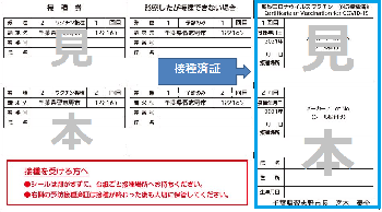 予防接種済証の見本