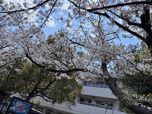 児童用門周辺の様子