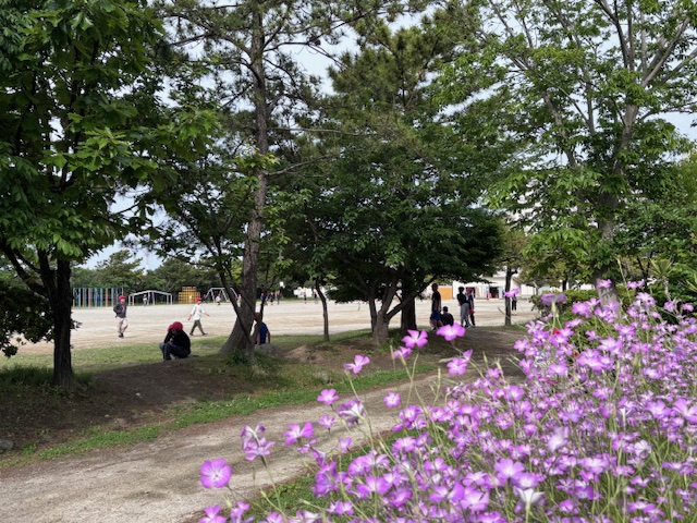朝の校庭の様子