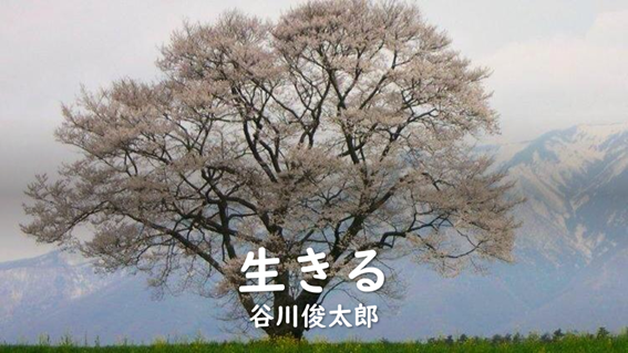 パワーポイントの一画面