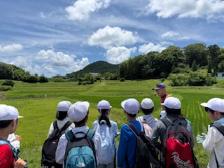 大山千枚田を見学する様子