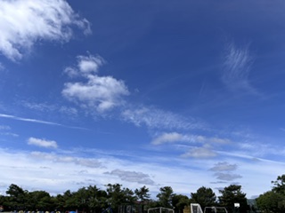 今日の青空