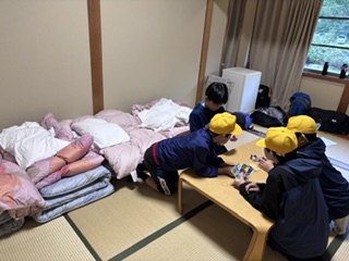 日光20