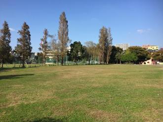 広い広場と周りに複数の木が生えている中央公園の写真