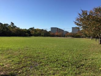 晴天時に撮影された広々とした広場がある袖ケ浦西近隣公園の写真