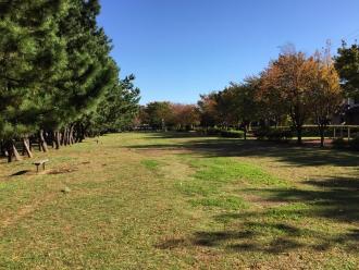 木々に囲まれた広々とした袖ケ浦東近隣公園の写真