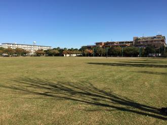 晴天時に撮影された香澄近隣公園（香澄ふれあい公園）の芝のある広い広場の写真