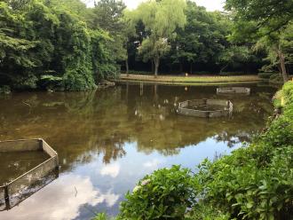 木々に囲まれた池の中に複数の多角形の囲いがある藤崎森林公園の写真