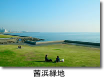 海沿いの芝生広場が広がる茜浜緑地に座っている人達の写真