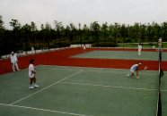 秋津公園のテニスコートでテニスをしている人たちの写真
