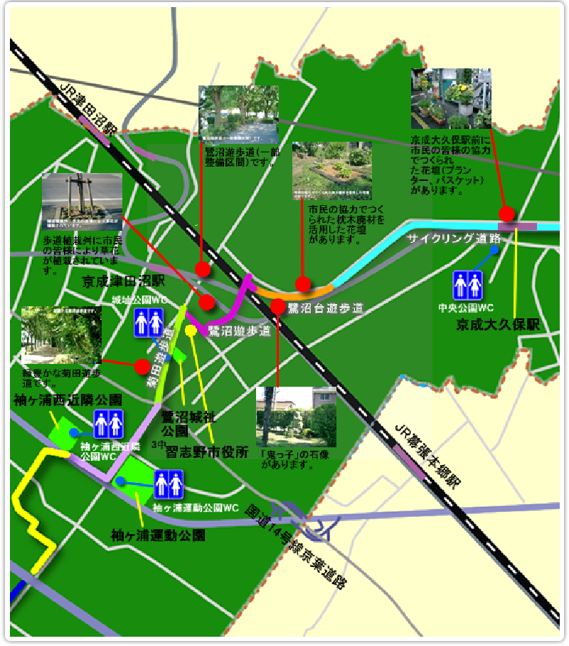 サイクリング道路、最沼台遊歩道、鷺沼台遊歩道、菊田遊歩道周辺の見どころ案内の地図