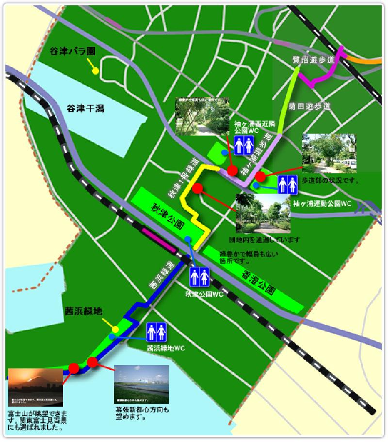 袖ケ浦遊歩道、秋津1号緑道、茜浜緑道周辺の見どころ案内図