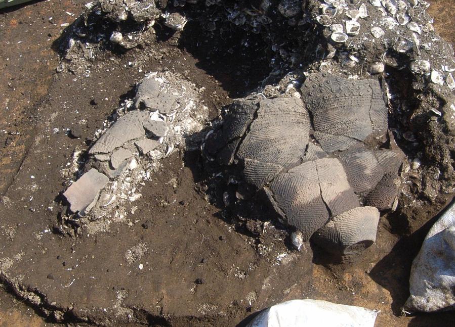 土器や貝殻などが出土した竪穴住居跡の写真