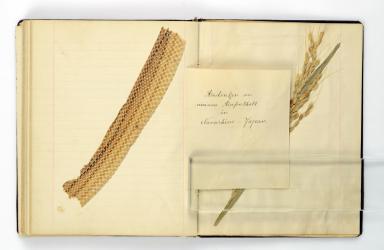 左側に蛇の抜け殻、右側に稲穂が貼りつけられているページがある日記の写真