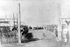 収容所の正門前から収容所の中を写した白黒写真