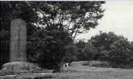 木々に囲まれた鷺沼城址公園内古墳の白黒写真