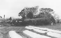 小高くなった古墳の墳丘全体を写した白黒写真