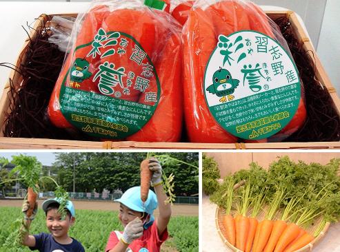 上：彩誉のラベルがついた袋に入っているにんじんの写真、左下：にんじんの収穫をした子供たちの写真、右下：ざるの中に並んでいるにんじんの写真