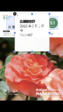 広報の表紙の文字を拡大した画面