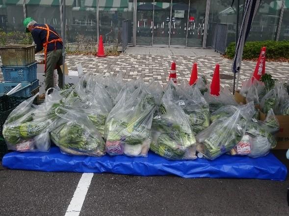 大人気の野菜の福袋