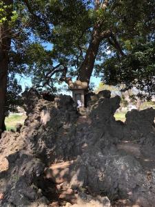 溶岩石が高く積み上がっており、山のような形になっているミニ富士山の写真