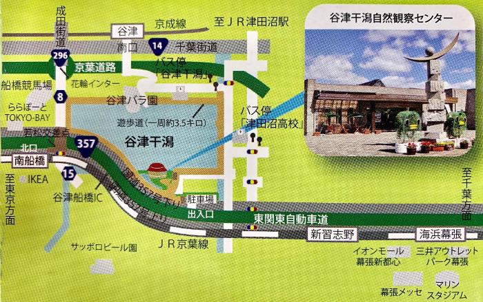 谷津干潟自然観察センター付近の地図