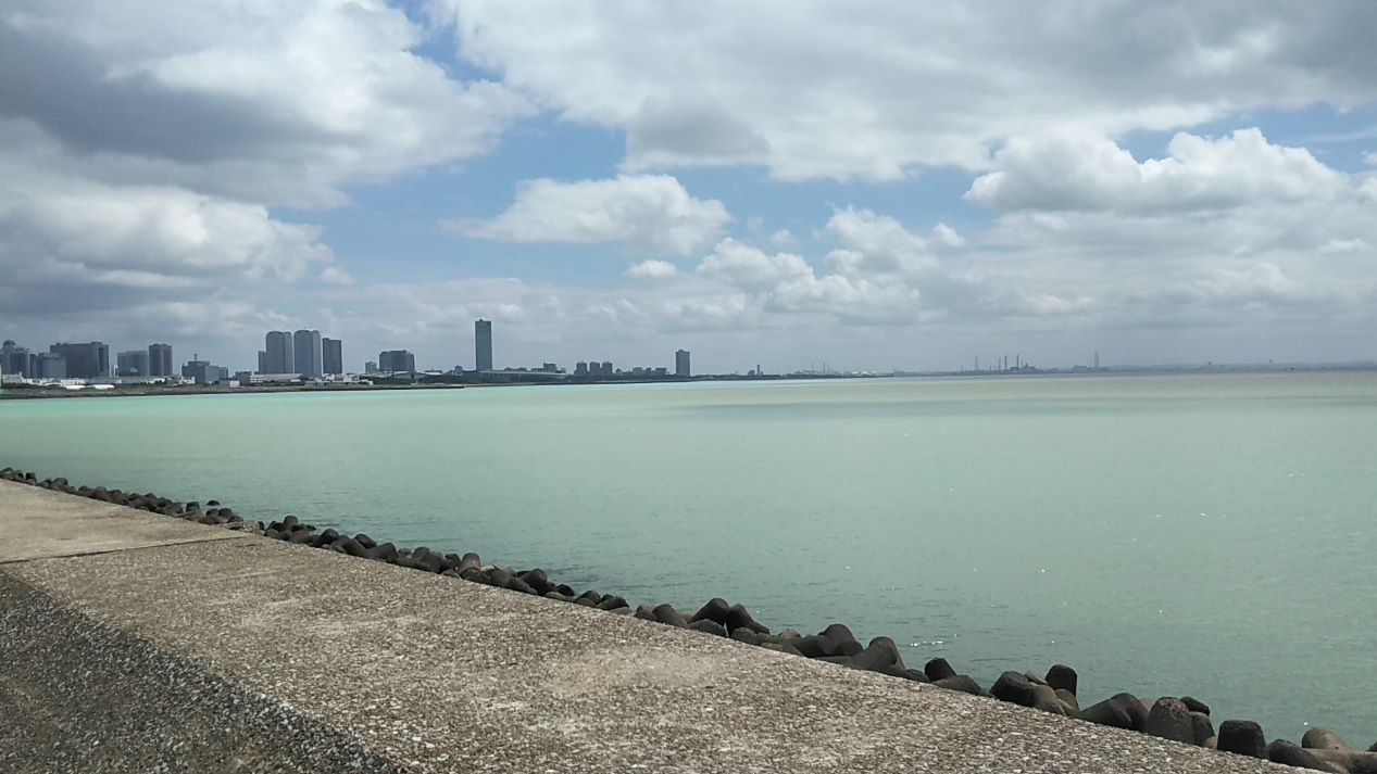 青潮発生時の東京湾