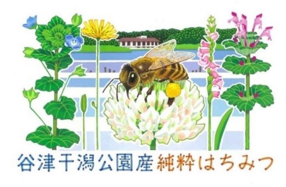 純粋はちみつ ハチと花のイラスト