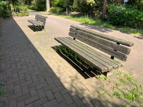 谷津干潟遊歩道ベンチ1