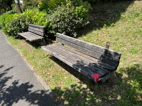 谷津干潟遊歩道ベンチ3