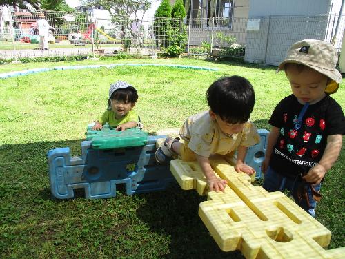 マルチパネルをよじ登って遊んでいる様子