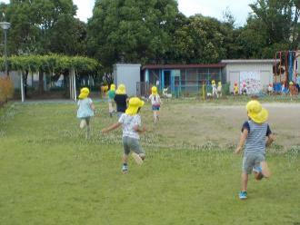 黄色の帽子を被った園児たちが園庭を走り回っている写真