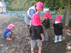 木の実拾いをしている子供たち