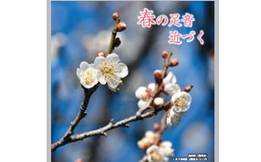 広報習志野3月1日号