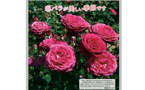 広報習志野5月1日号