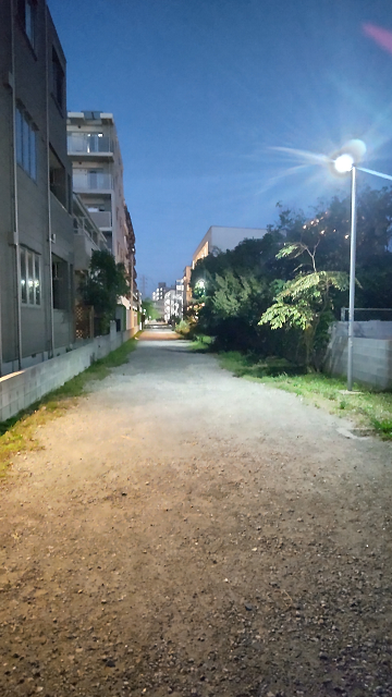 夜の菊田遊歩道の写真