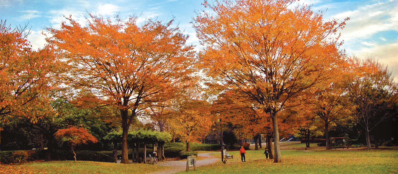 香澄公園の写真