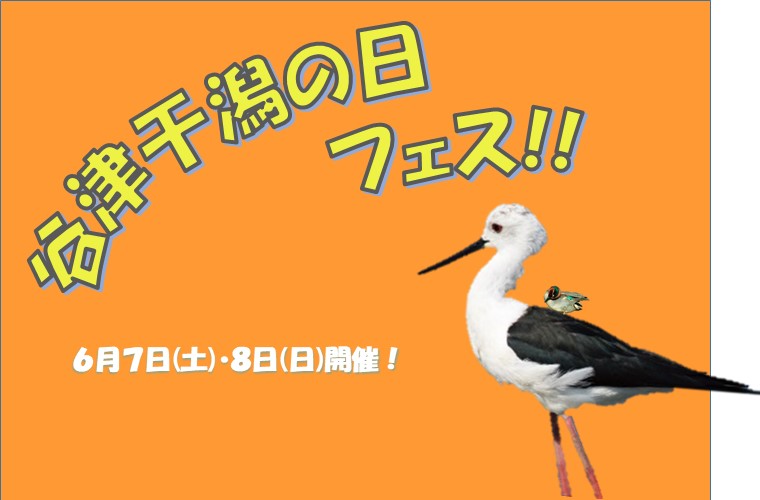 6月10日は谷津干潟の日