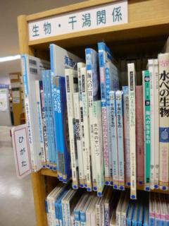 生物・干潟関係と書かれた棚に本が並んだ干潟資料コーナーの写真