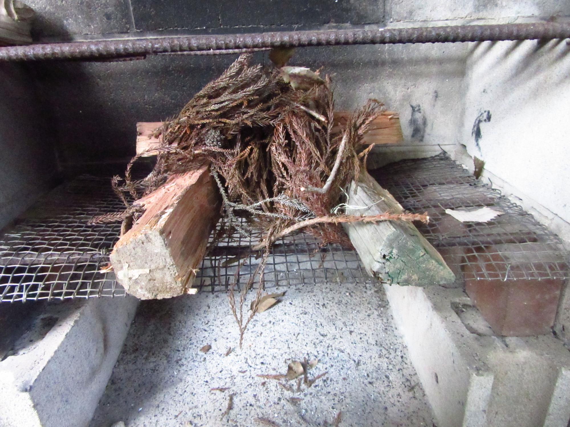 拾ってきた杉の葉と薪の組み合わせ