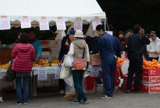 テントの下に新鮮な野菜や果物が並んでお客さんが買い物をしている食とくらしの祭典での様子の写真