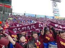 観客席にいる多くの多人たちが頭の上に「習志野高校」っと書かれて紫色のタオルを掲げ応戦している写真