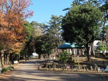 通路の左側の木々の葉が紅く色づいている文教センター公園の写真
